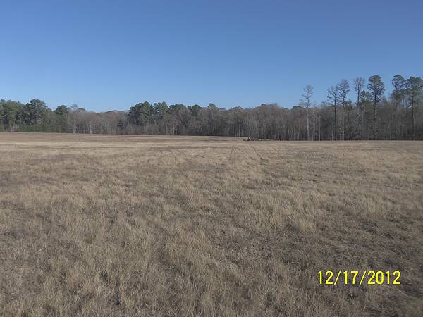 field
